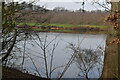 Small lake, Cork Wood