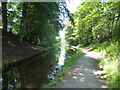 Part of the Llangollen Canal  at Whitehouse Tunnel