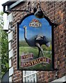 SD8203 : Sign of The Ostrich by Gerald England