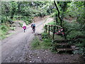 Hen bompren adfeiliedig / Old dilapidated footbridge