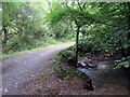 Llwybr ger Cronfa Ddwr Llys-y-fr?n / Path near Llys-y-fr?n Reservoir