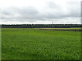 Farmland, Melgund