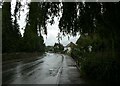 Looking south-west along a wet and windy Sunningwell Road