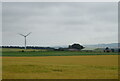 Cereal crop towards East Drums