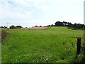 Grazing towards Barnhead