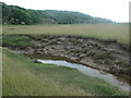 SD3378 : Channel in the saltmarsh by Barker Scar by Christine Johnstone