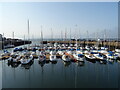 Yachts, Tayport Harbour