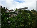 Direction Sign ? Signpost on Long Lane in Cerne Abbas