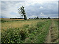 Footpath to Great Knowles Green