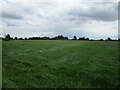 Grass field, Weathercock Hill