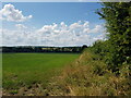 Fields south of Himbleton