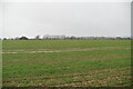 Romney Marsh farmland