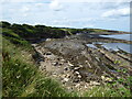 NU2517 : Part of the rocky coastline near Craster, Northumberland by Jeremy Bolwell