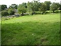 Field beside Blaengwenffrwd