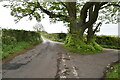 Beech Rd, Horns Lane junction