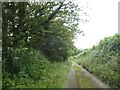 Minor road south of St Nectan