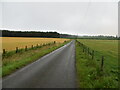 Fence-lined minor road near to West Happas