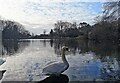 TQ5901 : Decoy Pond, Hampden Park by PAUL FARMER