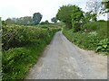 SO3173 : Wanderings around the Welsh/English border [40] by Michael Dibb