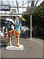 Worcester Stands Tall - Wooly Worcester - The Giraffe in a Scarf