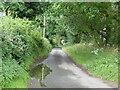 Back Road approaching Webster