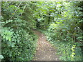 Public footpath off Campsall Road, Askern