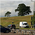 Field, Dunblane