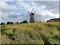 Whitburn Windmill on a July evening walk