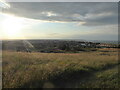 Summer evening view over part of South Shields