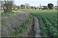 Field edge footpath