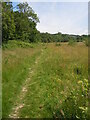 Llwybr cyhoeddus ger afon Gwili/Public footpath by river Gwili