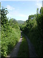 Lon rhwng/Lane between  Penybanc & Ffynnon Wiber, Bronwydd Arms