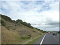 Bat bridge over A38 cutting north of Dobwalls