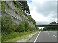 North side of A38 cutting east of Dobwalls