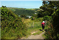 Gates by Jawbones Hill