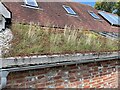 Green roof at Hospice in the Weald