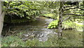 Confluence of Ballymacone and Callan Rivers