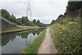 Tame Valley Canal towards Friar Park Farm Bridge