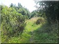 Former Waverley Line near Broomhill