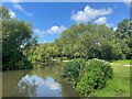 Mallards Way Pond