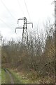 Pylon, Minepit Wood