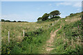 Wales Coast Path near Pennard Farm