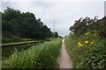 Tame Valley Canal towards Crankhall Lane Bridge