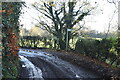 Footpath off Washneys Rd