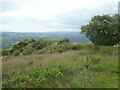 Mining spoil on Kit Hill