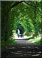 Dog walker on the Silkstone Waggonway trail