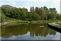 Trent and Mersey Canal north of Etruria, Stoke-on-Trent