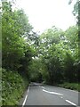 A388 in Sturts Wood