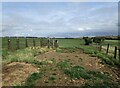 Animal pen and grassland near Morcott