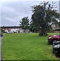 Trees on a green, Court Farm Estate, Cwmbran